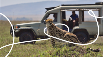 10 Best Safari Parks in Kenya