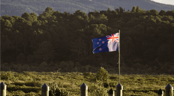 New Zealand: Full Travel Guide on the Safest Place on Earth in 2026