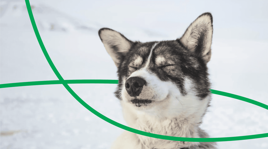 The Northernmost City in the World: Longyearbyen, Norway